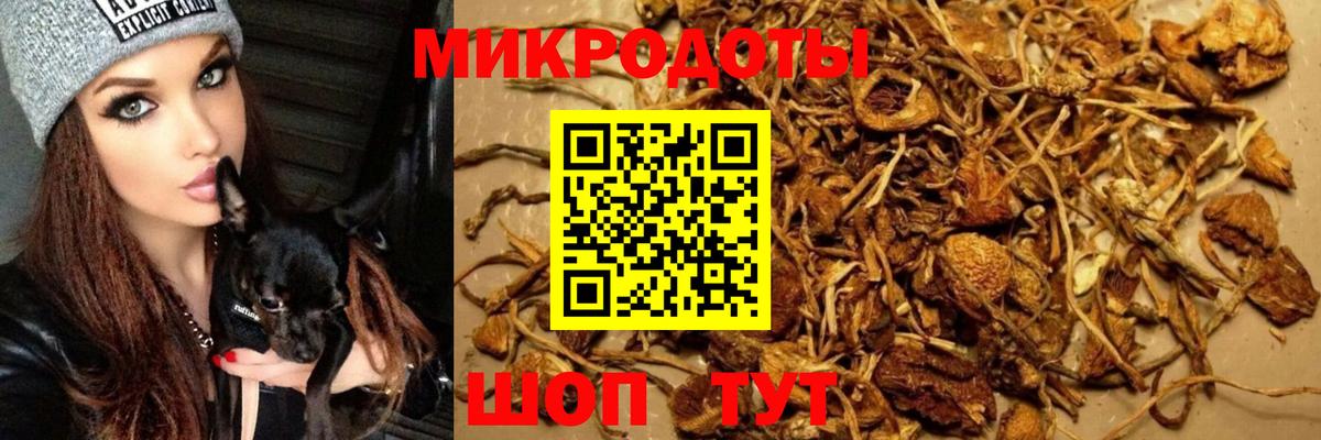 Галлюциногенные грибы мицелий Изобильный